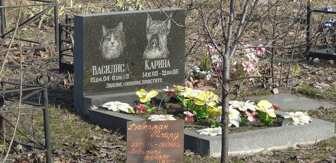 В Киеве будет городское кладбище для домашних животных - Фото