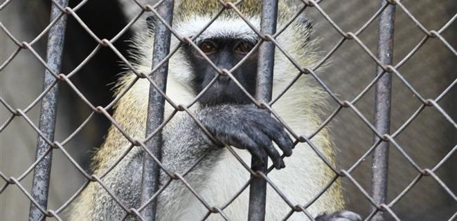 Ривненский зоопарк ограбили на 100 тыс.грн. - Фото