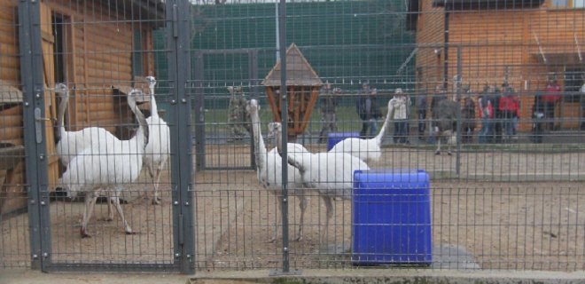 Специалисты провели инвентаризацию зоопарка в Межигорье - Фото