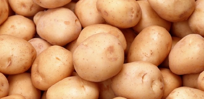 Россия ввела запрет на ввоз картофеля из Украины - Фото
