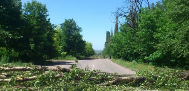 В Донецке сторонники ДНР блокируют дороги спиленными деревьями - Фото