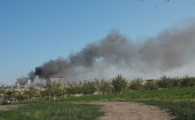 В Артемовске сожгли ферму лидера донецкой Батькивщины