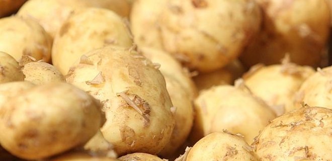 С сегодняшнего дня Россия запретила ввоз украинского картофеля - Фото