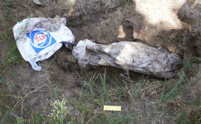 Оружие, найденное местными жителями в зоне АТО: фото трофеев