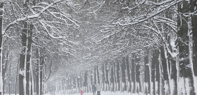 Погода в Украине на выходных: умеренный мороз и снег - Фото