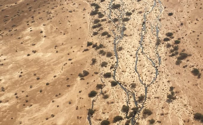 Крупная авария в Израиле: пустыню затопило нефтью 