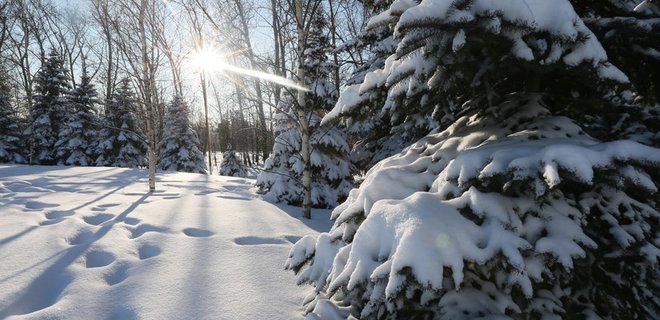 Погода в Украине на Новый год: снег и сильный мороз - Фото