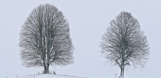 Погода в Украине: туман, снег и гололедица - Фото