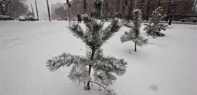Погода в Украине на выходных: туман, гололедица и мокрый снег - Фото