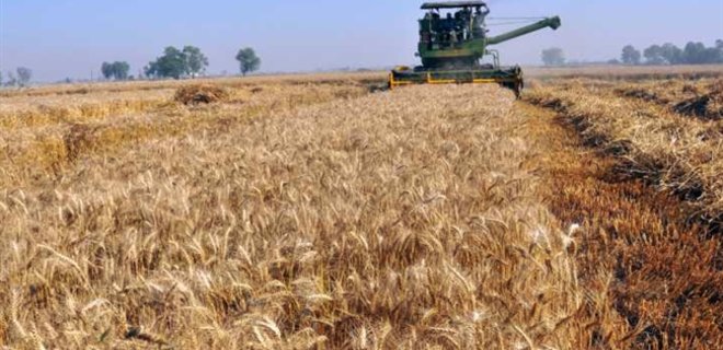 Россия ввела экспортные пошлины на зерно - Фото