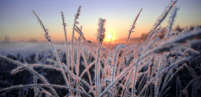 Погода в Украине: ночные заморозки и +7 днем - Фото