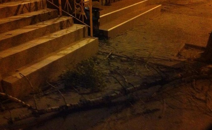 В Харькове сильный ветер валил деревья и срывал крыши: фото
