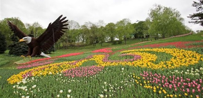 В июле в Киеве стартует флористический фестиваль 