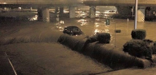 В Тбилиси наводнение унесло жизни 5 человек, затоплен зоопарк - Фото