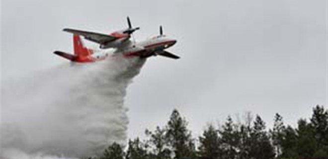 Количество лесных пожаров в 2015 году выросло в 2,4 раза - ГСЧС - Фото
