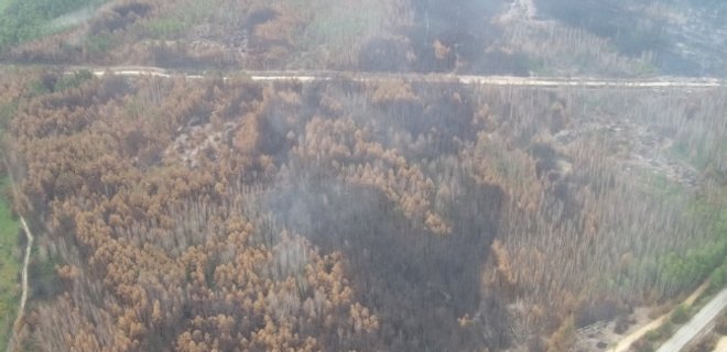 Спасатели продолжают тушить пожар в Чернобыльской пуще - Фото