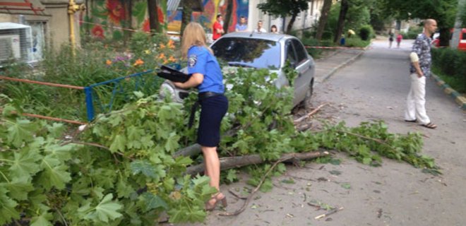 В Харькове на женщину и ее семимесячного ребенка упало дерево - Фото