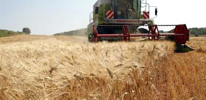 Аграрии в Украине намолотили уже 2 млн тонн зерна нового урожая - Фото
