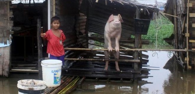 Наводнение в Бирме: пострадало 70 тысяч человек - Фото