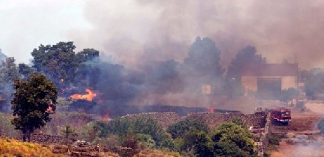 Из-за лесных пожаров в Испании эвакуированы 2,4 тыс. человек - Фото