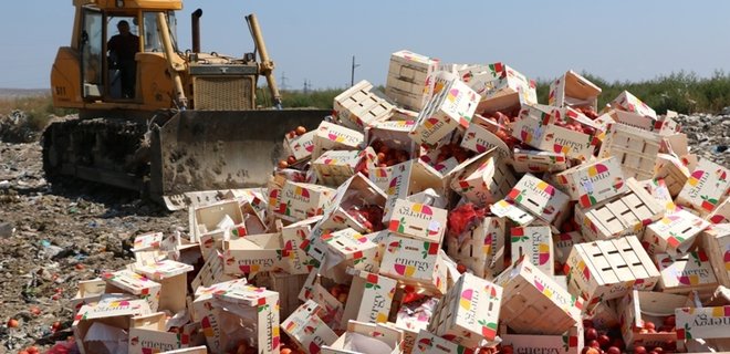 В Керчи оккупанты уничтожили 4,4 тонны нектарина - Фото