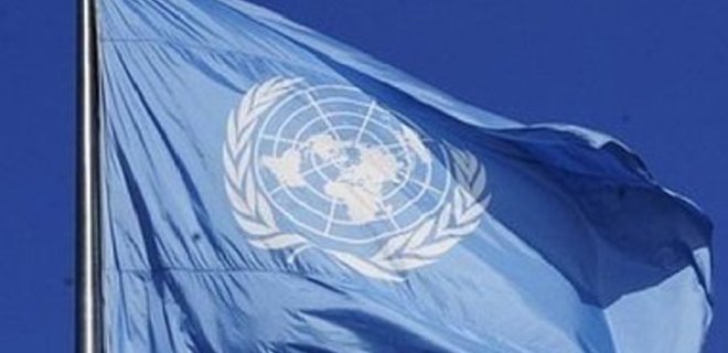 ООН прогнозирует падение мировых цен на продовольствие  - Фото