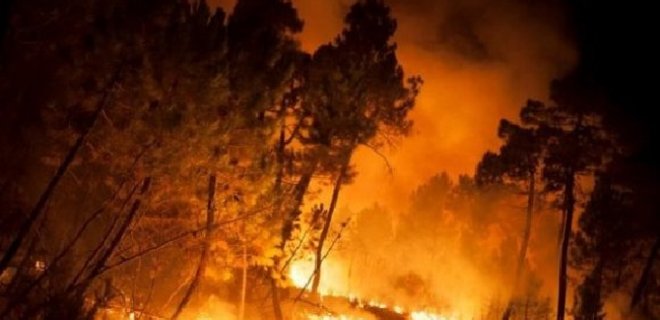 В России пожары охватили уже свыше 80 тысяч гектаров леса - Фото