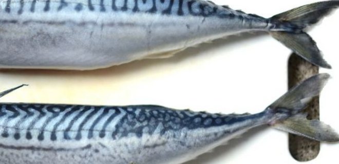 Казахстан не намерен отказываться от норвежской рыбы - Фото