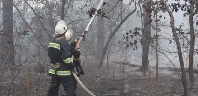 Под Киевом пожар в лесу ликвидирован - ГСЧС - Фото