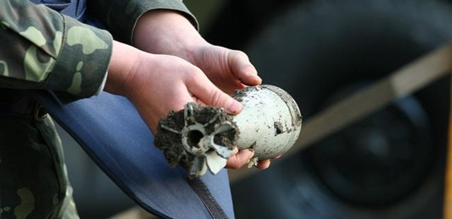 В киевском лесу обнаружили 739 взрывоопасных предметов - ГСЧС - Фото
