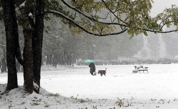 В Польше вследствие мощного снегопада погибли двое человек: фото