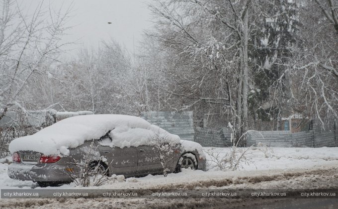 Снежный коллапс в Харькове: лежат деревья, стоит транспорт - фото