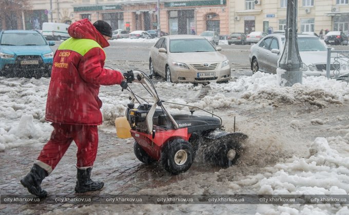 Снежный коллапс в Харькове: лежат деревья, стоит транспорт - фото