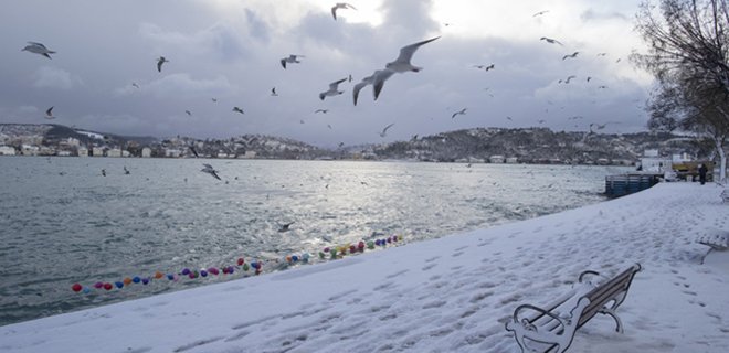 Из-за сильного снегопада в Стамбуле отменили сотни авиарейсов - Фото