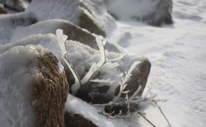 В Бердянске замерзло Азовское море: фоторепортаж