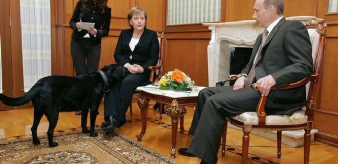 Путин объяснил, зачем выпустил лабрадора к боящейся собак Меркель - Фото