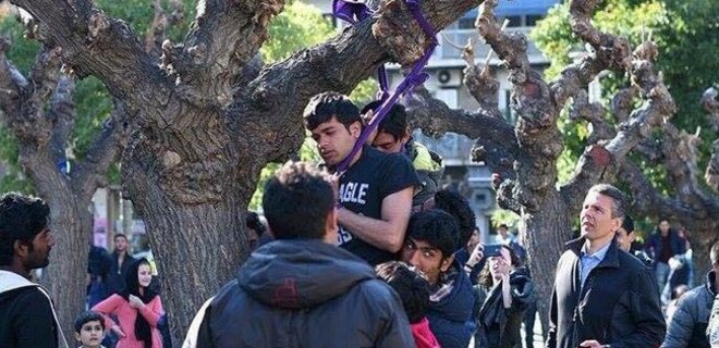 В Афинах на дереве пытались повеситься двое беженцев - Фото
