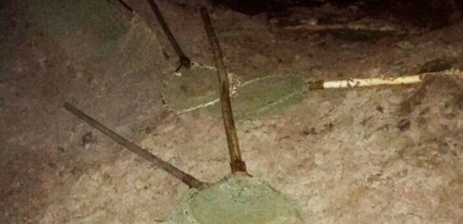 На Житомирщине задержаны трое киевлян за незаконную добычу янтаря - Фото