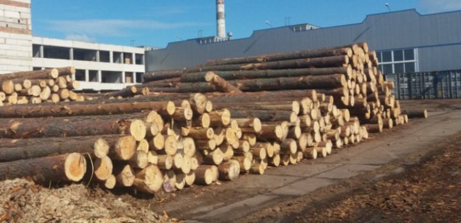 СБУ на Одесщине пресекли незаконный экспорт древесины в Азию - Фото