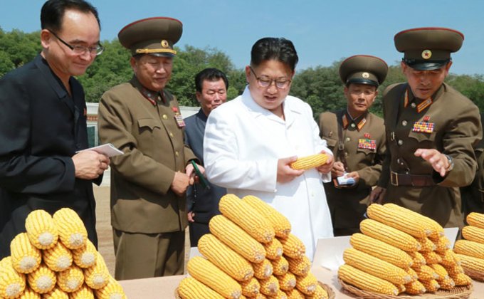 Власти КНДР показали, как Ким Чен Ын радуется новому урожаю: фото