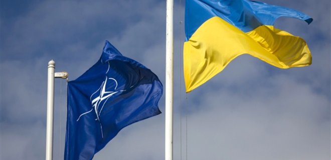 НАТО увеличит помощь Украине для приближения к стандартам альянса - Фото