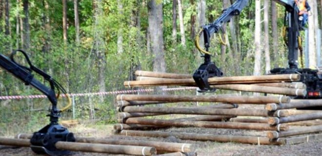 В ЕС объяснили свою позицию по запрету на экспорт леса-кругляка - Фото