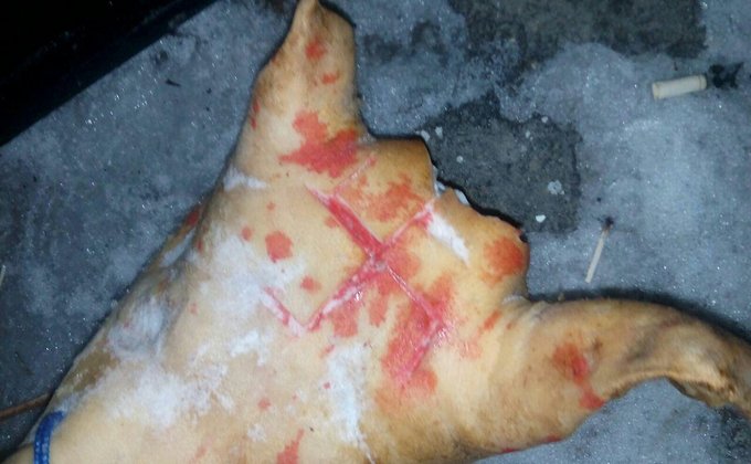 В Умани осквернили могилу цадика Нахмана: фото, видео
