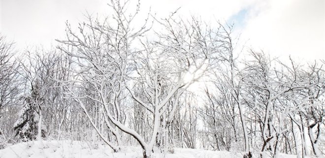 В Николаевской области ограничено движение фур из-за снегопадов - Фото