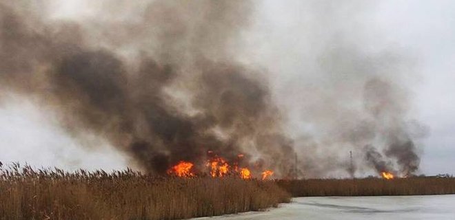 В нацпарке Тузловские лиманы браконьеры подожгли тростник - Фото