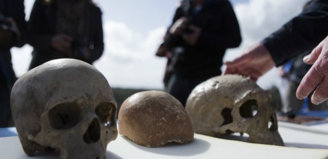 Неандертальцы употребляли природные аналоги аспирина - ученые - Фото