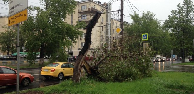 В результате урагана в Московской области погиб украинец - Фото