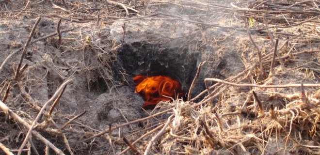 В Полтавской области горели залежи торфа - Фото