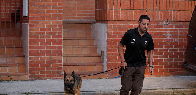 Полиция Мадрида спасает своих собак от стресса с помощью Моцарта - Фото