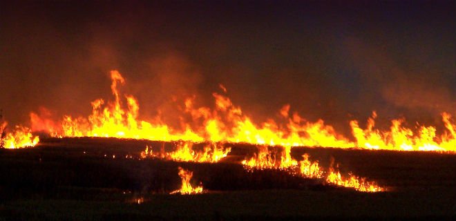 Во Львовской области сожгли лагерь ромов - омбудсмен - Фото
